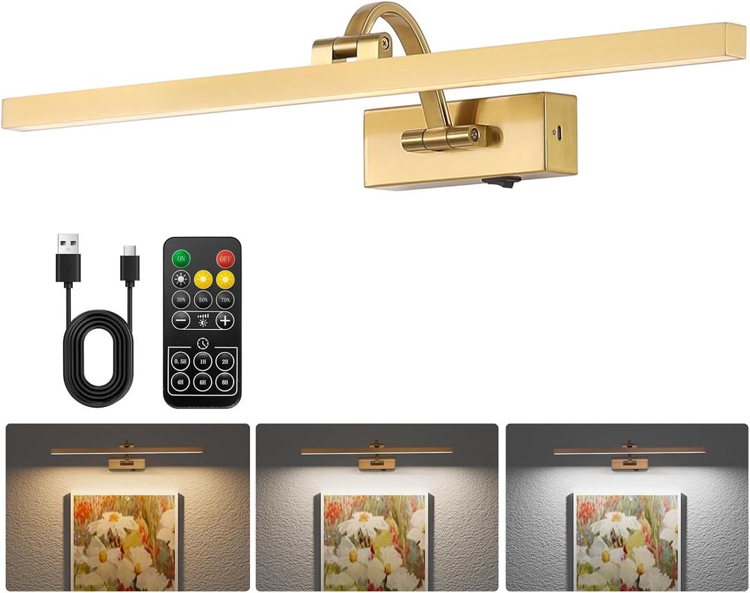 Wireless Picture Lights for Wall,23.5 Inch Brass Art Light for Paintings,Battery Operated Picture Lights with Remote Control,Dimmable Rechargeable Art Lamps for Picture Frame,Gallery