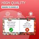 Squirrel License Plate Frame Cute Animal Cartoon License Plate Holder Funny Stainless Steel Accessories Cars Decor with 2 Holes and Screws Fits Standard Us Ca Vehicles 12.2 X 6 Inch