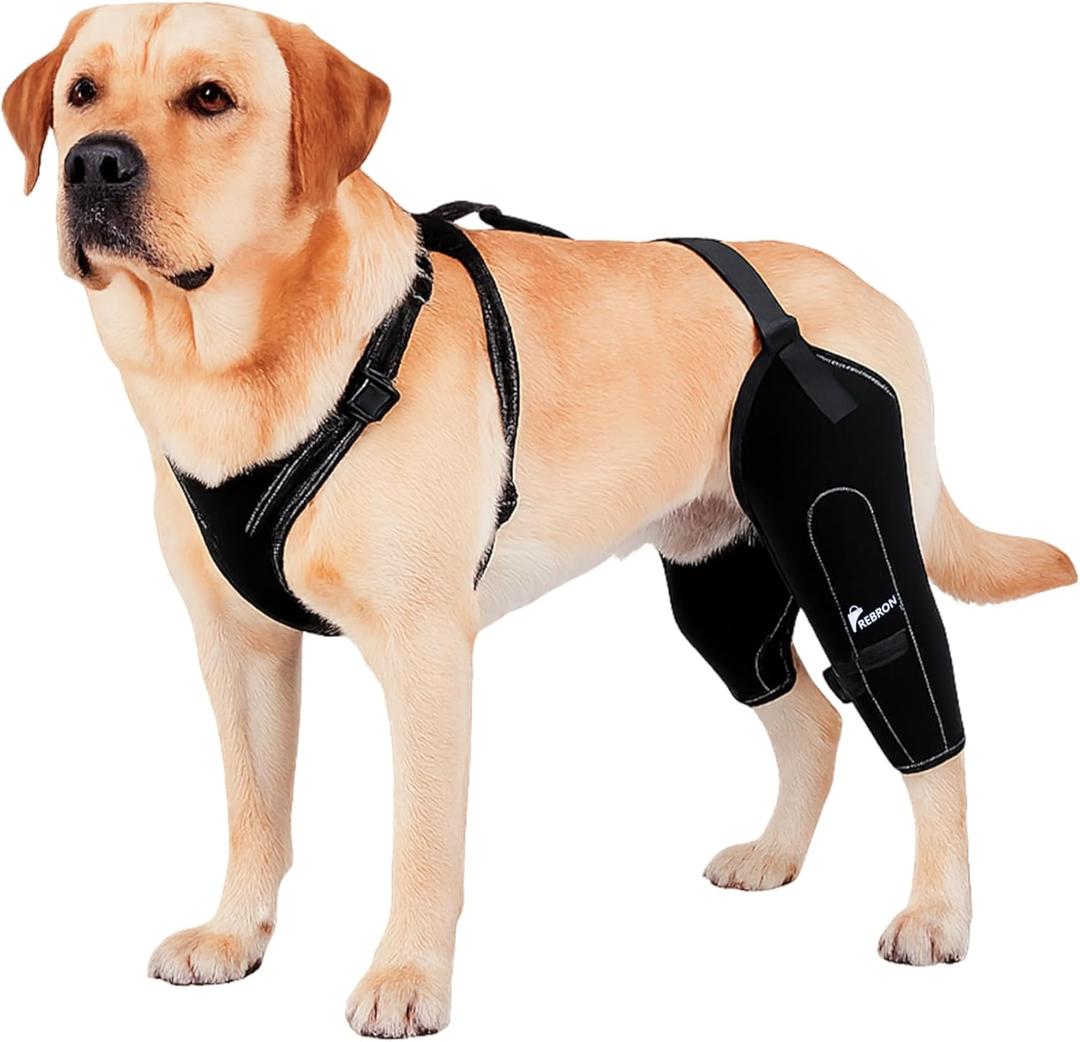 REBORN Dog Double Knee Brace for Torn ACL, CCL & Luxating Patella, Adjustable Back Leg Support & Recovery, Hind Leg Brace for Stability, Arthritis, Injury & Joint Pain Relief, Medium