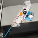 Outward Hound Tail Teaser Interactive Dog Wand Toy with Squeaky Plush Teaser and Crinkle Sounds for Active Play, Multicolored