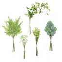 Ling's Moment Artificial Greenery Stems Box Set, 71pcs with 5 Kinds of Faux Greenery Picks for DIY Bridal Bouquets Wedding Floral Arrangement Table Centerpieces, Light Green & White