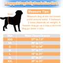 Langsprit Male Belly Bands for Dogs (Pack of 3) - High Absorbing Dog Wraps Male Washable - Reusable Dog Diapers (Sloth,Whale,Dinosaur, XX-Large)