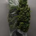 Artificial Boxwood Topiary Tree 3FT Fake Topiary Tree Faux Potted Topiary Plant for Porch Home Garden Decor 2Pack