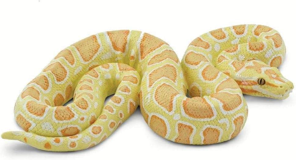 Safari Ltd. Albino Burmese Python Figurine - Lifelike 5.5" Snake Figure - Educational Toy for Boys, Girls, and Kids Ages 3+