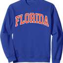 Vintage Florida Men Florida Women Retro Blue Orange FL Tee Sweatshirt (Small)