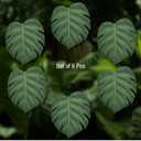 BKKDecor | Leaf Coasters for Drinks | Monstera Coaster Set of 6 | Tropical Leaf Decorations for Home | Gift Ideas Party Table Decor. (Monstera)