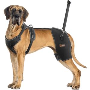 CHAMIN Dog Hip Brace with Back Handheld Design, Support for Hip Dysplasia, Arthritis, Back Leg limping, Reduce Hip Pain & Accelerated Recovery After Surgery etc (XXL)