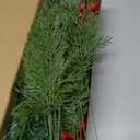 FRCOLOR 20pcs Faux Red Berry Stems and Green Branches Artificial Holly Berry Picks for Christmas Holiday Decor and DIY Craft Arrangements