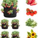 iPower 4-Pack 10 Gallon Strawberry Grow Bags, Vegetables Pots with 8 Planting Holes, Thickened Breathable Nonwoven Fabric with Handles, for Gardening