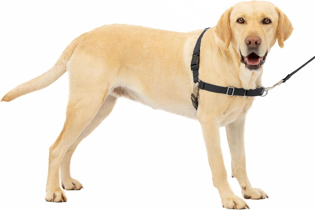 PetSafe Easy Walk Black No Pull Dog Harness, Large