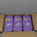 Amazon Basics Incontinence Underwear for Women, Protective, Disposable, Postpartum, Maximum Absorbency, Large, Lavender, 54 Count (3 Packs of 18)