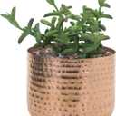 MyGift 6 Inch Copper Tone Metal Plant Pot with Hammered Design, Decorative Small Succulent Planter - Handcrafted in India