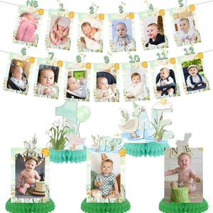 One Silly Goose 1st Birthday Party Decorations, Little Green Goose 12 Monthly Milestone Photo Banner Baby First Year Down Theme Photo Table Centerpiece for Baby Silly Goose First Theme Party