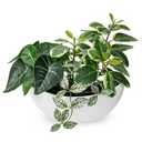 Fake Plants 11.8" Artificial Potted Plant Assorted Faux Plants in Pot Silk Plants Artificial Plants Indoor for Home Living Room Bedroom Bathroom Office Desk Table Centerpieces Shelf Greenery Decor