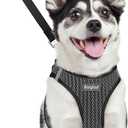 Eagloo Small Dog Harness and Leash Set, Step in Puppy Vest with Breathable Soft Mesh, Walking Reflective Pet Harness for Medium Small Dogs, Gray, L (L(Chest:18.2"-20.5"))