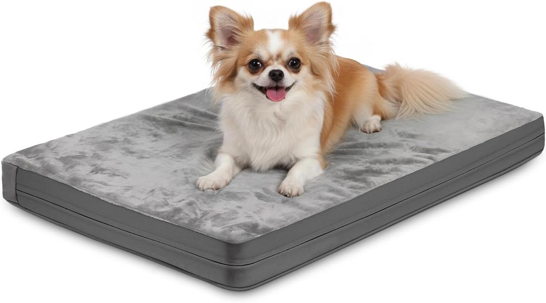 Waterproof Small Dog Bed Crate Pad 24 inch, Outdoor Washable Puppy Bed Orthopedic with Removable Cover Reversible, Foam Cat Bed Kennel Pad 23" x17, Durable Anti-Slip Bottom, Gray (Grey)