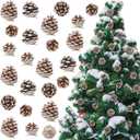 24 Pcs Pine Cone for Christmas Tree Christmas Ornament 3 Size Pine Cone for Craft Decorating with Silver Metal Clip Rustic Farmhouse Xmas Decoration Wreath DIY Gift(Snow)