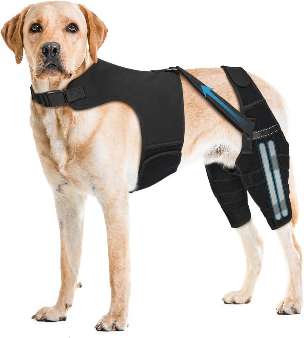Dog Knee Brace for Torn ACL Hind Leg, Dog Leg Braces for Back Leg with 4 Metal Stabilizers Strong Joint Support to Reduce Pain from Luxating Patella, Ligament Injury, Hip Dysplasia, XXL
