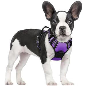 rabbitgoo Dog Harness No Pull with 2 Leash Clips, Adjustable Soft Padded, Reflective Oxford No Choke Pet Vest with Easy Control Handle for Small Dogs, Purple, S