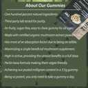 REAL Turkey Tail Mushroom Gummies - Gut, Immunity, Brain Support, Vegan, Sugar-free, GF, 30 TRUE Servings, 3.7oz