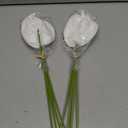 Ling's moment White Anthurium Flowers, 8pcs Artificial Silk Filler Plants, Faux Greenery Stems for DIY Wedding Bouquets Centerpieces Arrangements Bridal Shower Party Home Decorations