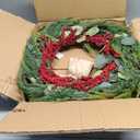 LampLust Winter Wreaths for Front Door Outside, 24 Inch Cypress & Eucalyptus Wreath with Red Berries 100 LED Lights, Timer, Battery Powered, Farmhouse Wreath Year Round, Winter Wreaths for Indoors