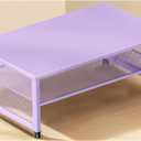 ECOLOVI 2-Tier Computer Monitor Stand Riser, Desk Organizer for Monitor, Printer & Laptop Stand, Desktop Workspace Organizers for Office Supplies(Purple)