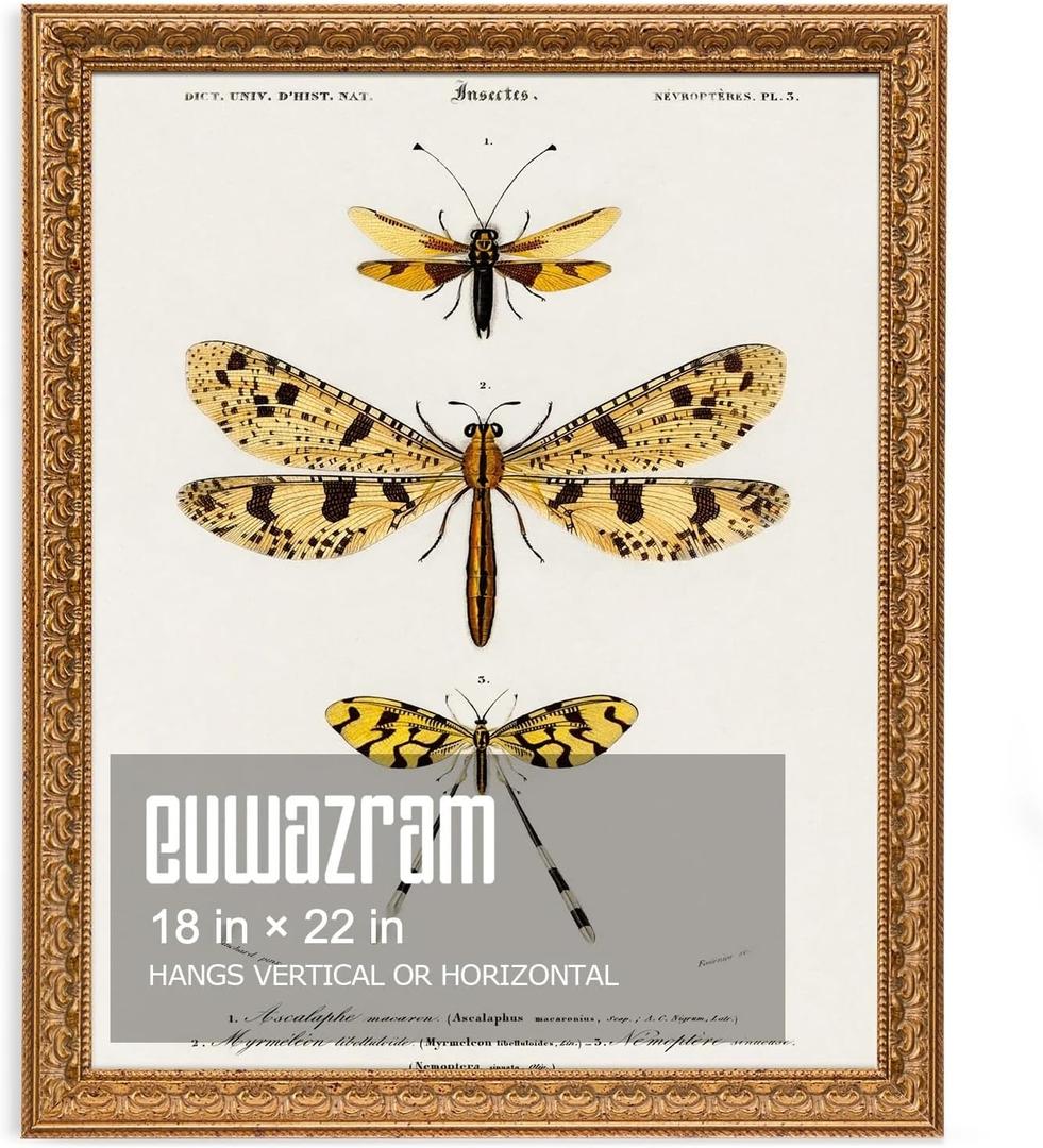 18x22 Ornate Vintage Gold Picture Frame - Single Frame, 18 x 22 Classic Poster Frame for Art Prints & Gallery Walls