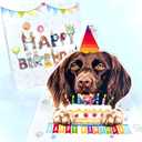 3D Pop-Up German Longhaired Pointer Birthday Card - Cute GLP Dog with Cake Celebration, Whimsical Happy Birthday Greeting for Dog Lovers
