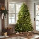 National Tree Company 7 ft Pre-Lit Dunhill Fir Full Artificial Christmas Tree, 700 Warm White LED Lights, 2,144 Tips, Includes Stand, Green