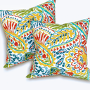 Pack of 2 Patio Throw Pillow Covers ONLY, Water Repellent Cushion Cases 20x20 Inch, Square Pillowcases for Outdoor Couch Decoration, Paisley Multi