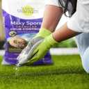 St. Gabriel Organics - 15 Pound Milky Spore Granular Natural Japanese Beetle Grub Control and Repellent for Lawn and Garden Care