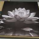 LZIMU Black White Zen Canvas Wall Art Blossom Lotus Picture Water Lily Prints Spiritual Artwork for Bathroom Meditation Yoga Spa Room Decor(Picture-1, (16.00" x 16.00"))