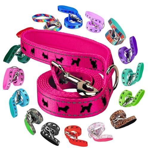 EcoBark Dog Leash - Soft & Reflective Comfort Training Leashes with Padded Handle - Safe, Strong, & Durable for Small, Medium or Large Dogs (Pink,  5 ft x 3/4 in - Narrow Width)