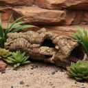 Reptile Terrarium Hideout Decor, Resin Wood Hide Decor for Reptiles, Fish, Amphibians, Small Animals (Medium)