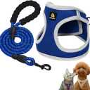 BELLA & PAL Step in Vest Harness for Small and Medium Dogs, No Pull Small Dog Harness with Leash Set, Comfortable Air Mesh Dog Vest Harness with Reflective Strip (Sapphire(Round Rope), M)