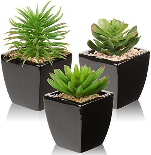 Hollyone Small Succulents Artificial 3 Pcs Faux Succulents in Pots Fake Succulent Plants with Black Ceramic Pots for Modern Home Office Desk Bathroom Shelf Living Room Decor