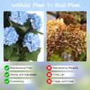 3FT Artificial Hydrangea Tree with Spikes, 2 Pack