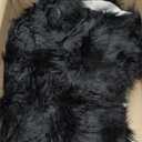 Ashler Faux Fur Rug, Black Area Rugs, Fluffy Sheepskin Fur Rug, Fuzzy Ultra Soft 2 x 3 Ft Rugs, Machine Washable Shag Rug, Nursery Throw Rugs for Bed, Living, Kids Room