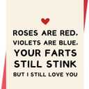 2 x Funny Valentines Day Card  Great Valentines Day Gifts for Him Boyfriend or Husband (SK-033)