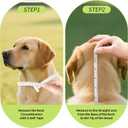 2 x Soft Dog Cone After Surgery,Cone for Dogs to Stop Licking(Grey, XL)