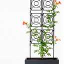 Trellis for Climbing Plants Outdoor, 24 Rifny Tall Garden Trellis Flower Rose Cucumber Trellis for Vines Pea Support, Wall Large Plant Trellis Fence with Plastic Screen Frame, 2 x 6.2 FT