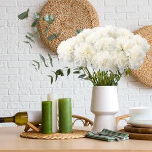 10pcs 24.8inch White Carnations Artificial Flowers Silk Carnations Fake Flowers Faux Carnation for Wedding Bouquets Kitchen Garden Party Home Wedding Floral Arrangement Decoration (White)