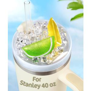 Lid Plate Topper for Stanley Cup 40 30 oz - Cute Decoration Accessories for Tumbler, Water Botter Bling Decor for Women Girls (Lemons Ice Cube)