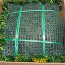 ODTORY Artificial Boxwood Hedges Panels Roll: 20"x20" 12P(33.5 sqft)
