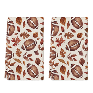 Pillowcases 2 Pack 18x18