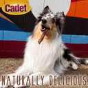 Cadet Bully Sticks for Large Dogs, All-Natural Beef Pizzle, Rawhide-Free Long-Lasting Dog Chews for Aggressive Chewers, Extra-Thick, 2 Count (EXP 03/27/27)
