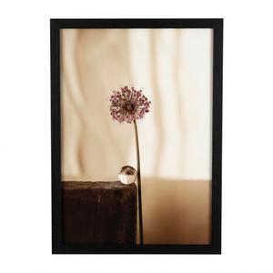 Golden State Art, 12x24 Picture Frame Black - 1 Pack | Classic Solid Wood Frame With Real Glass - Wall Mount Vertical or horizontal Display for Photos, Art, Posters