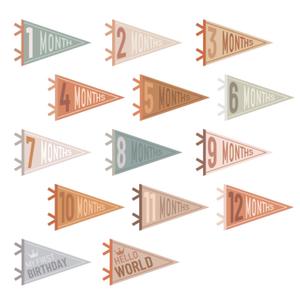 14 Pcs Baby Milestone Pennant Signs Monthly Milestone Banner Flags Pennant Triangle Banner Age Flag Signs for Boy Girl Newborn Birthday Party Decor(Assorted Colors)