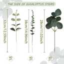 Coreland 120 Pcs 3 Kinds Mixed Artificial Eucalyptus Leaves Stems Fake Silver Dollar Eucalyptus Leaves Stem Bulk Faux Leaf for DIY Bouquets Floral Arrangement Wedding Home Decor